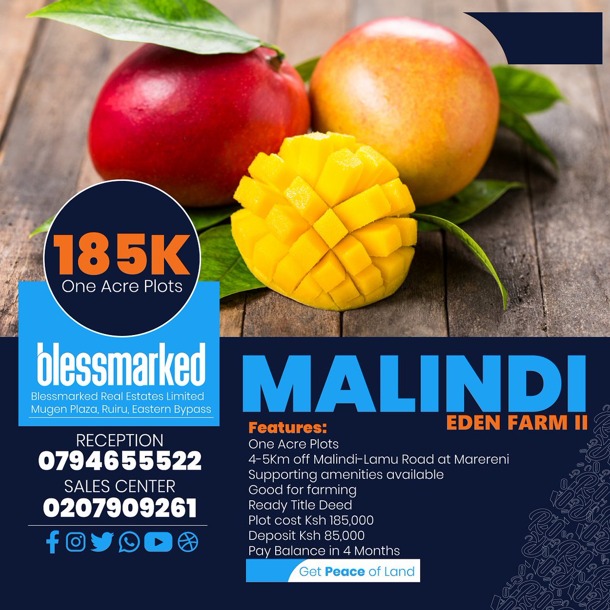 MyPropertyKe's tweet photo. #Blessmarked #RealEstates has affordable Eden Farm   Malindi. Book One Acre at 185K in Malindi. Talk to #Blessmarked today on 0207909261 (Sales Center) or 0794655522 #Malindi #Plots #MyProperty https://t.co/8HTuujJTFB