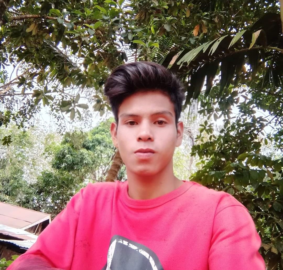 gormero98's tweet photo. adem bgt disini 🌲🌳🍃 https://t.co/lSCZV730Fr