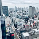 ツイートに含まれる画像