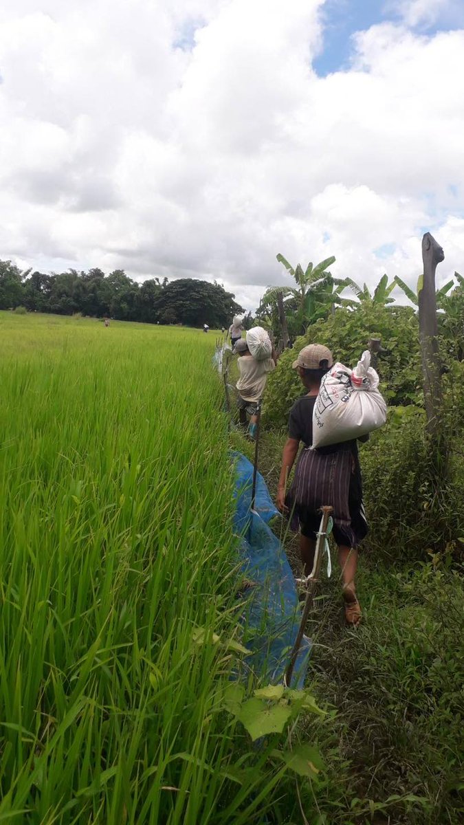 ကျောက်ကြီးမြို့နယ်ကို စစ်ကောင်စီတပ် လေကြောင်းဖြင့် ၃ ကြိမ် ဗုံးကြဲတိုက်ခိုက် 

#Mizzima #MyanmarMilitaryTerrorists #AirAttack #Bomb #Refugees #Kayin #WhatsHappeningInMyanmar
