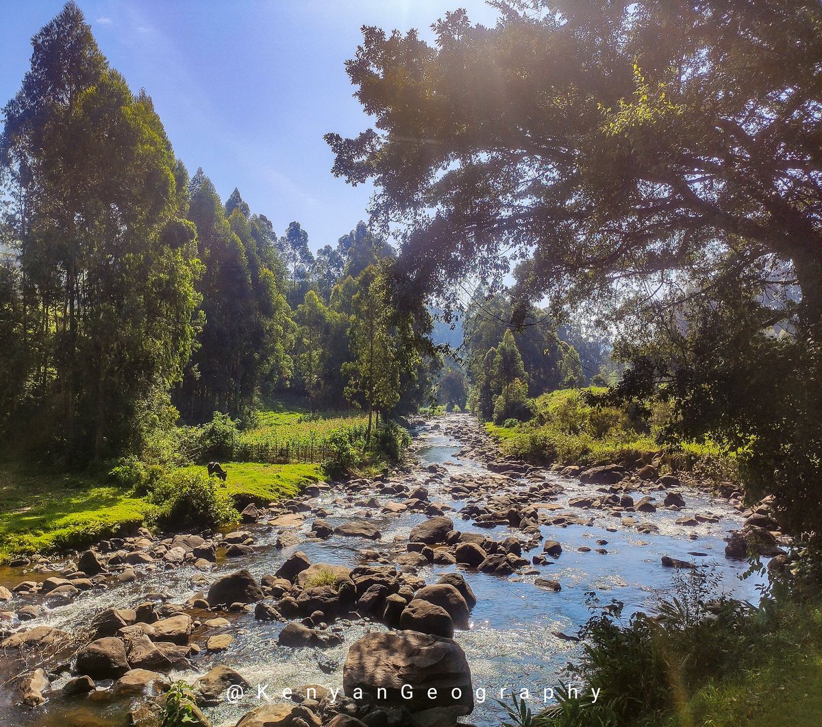 Mathioya River Mathioya is a tributary of Tana river that flows within Muranga ...