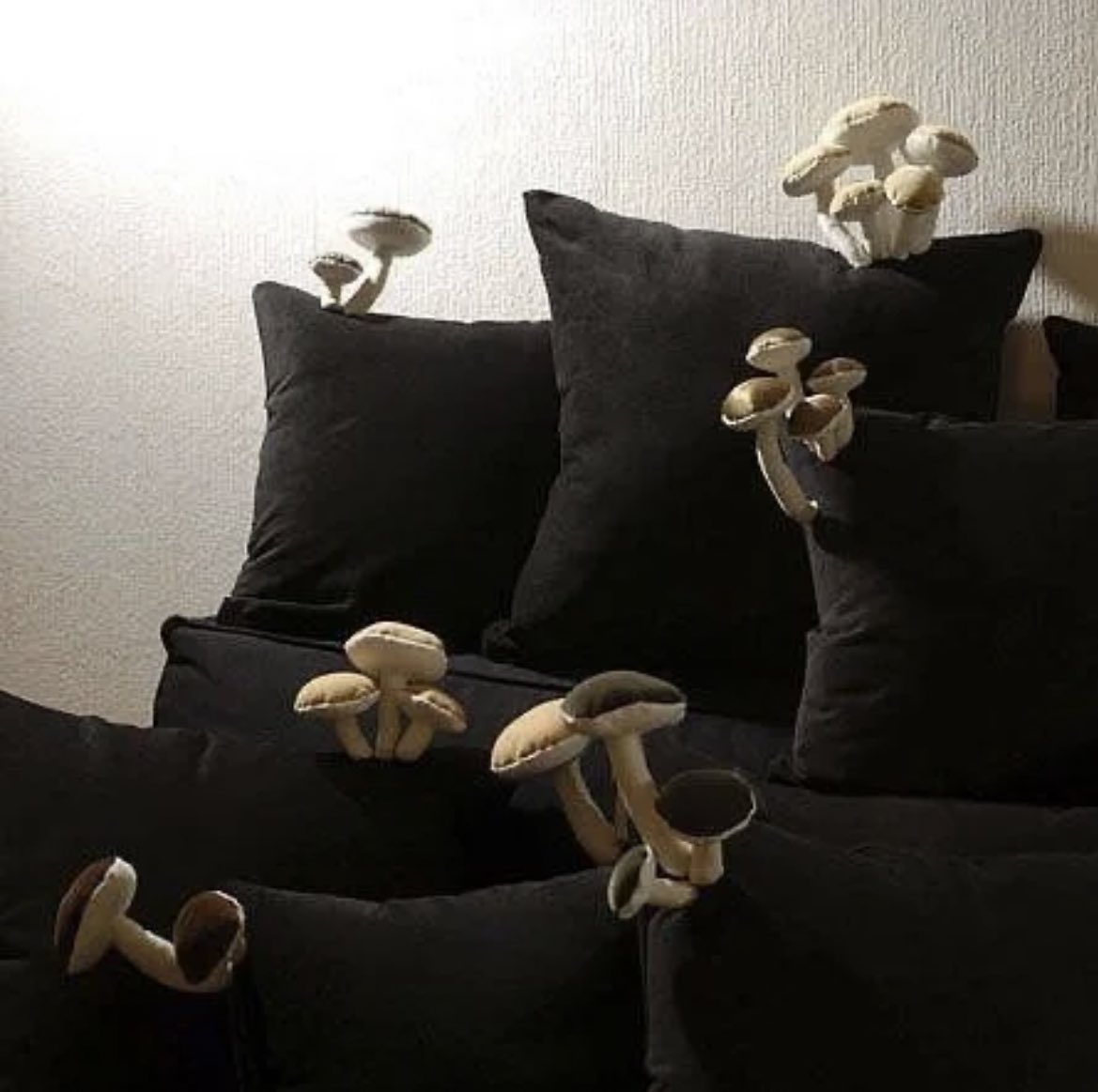 slutysl's tweet photo. Mushroom pillows 🍄 https://t.co/ay0TQgaRc8