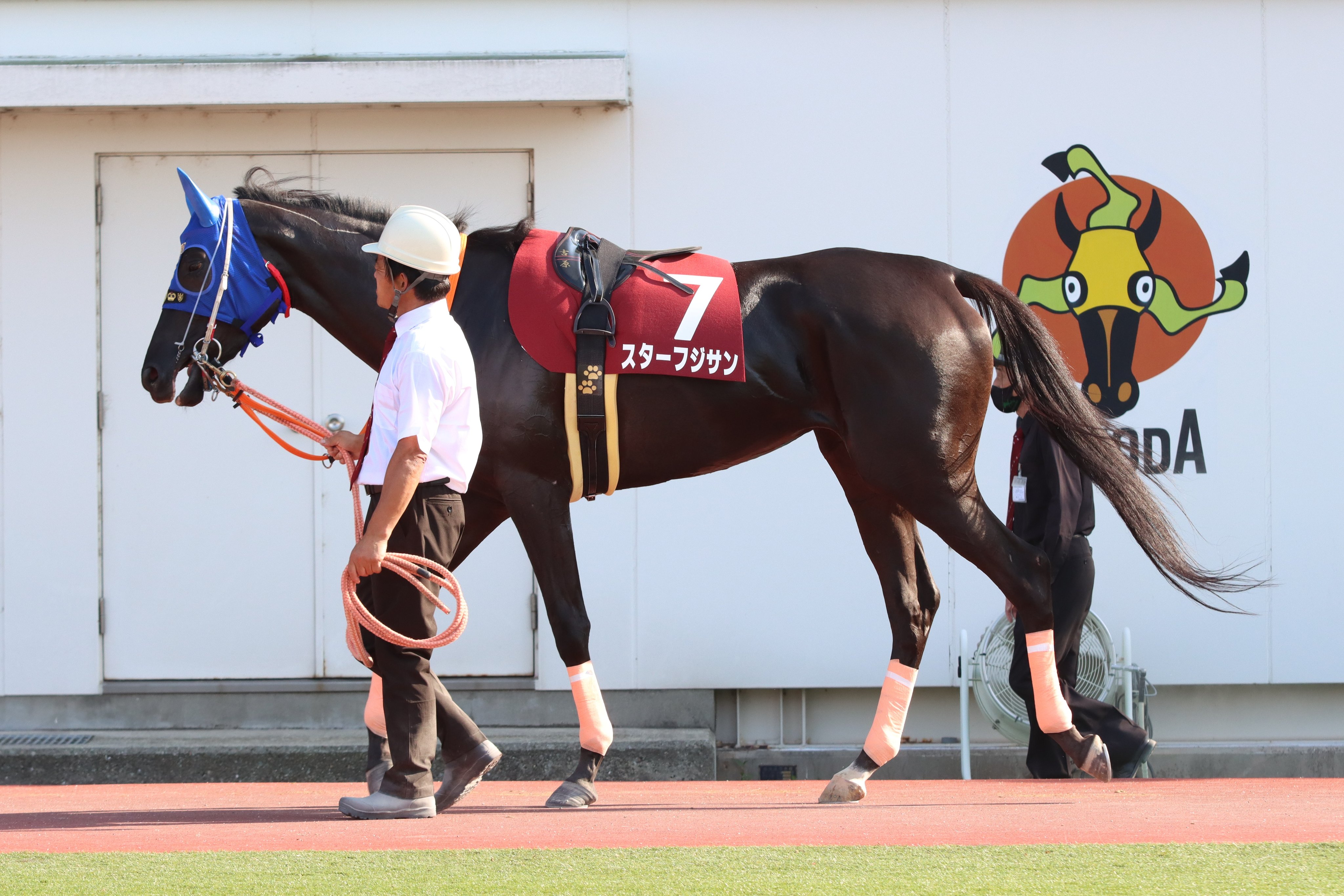 競走馬成績書 22冊セットサラブレッド系12冊（平成6年～11年、各年2冊