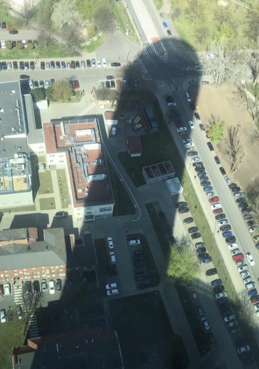 alexjmingolla's tweet image. Vitalik rn: