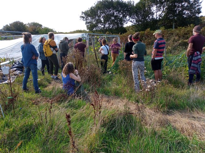 IrelandSeedSov's tweet photo. A day out at Brown Envelope Seeds is always special, yesterday was extra special. The sun shone, we shared good food, saw loads of seeds and veg and just generally enjoyed each others company. What a great way to learn we are so lucky #Seed2Seed #seedsovnetwork #seedsovereignty https://t.co/swv808XgDX