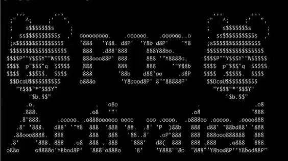 Dai Dai² 🐣🦎 tweet media