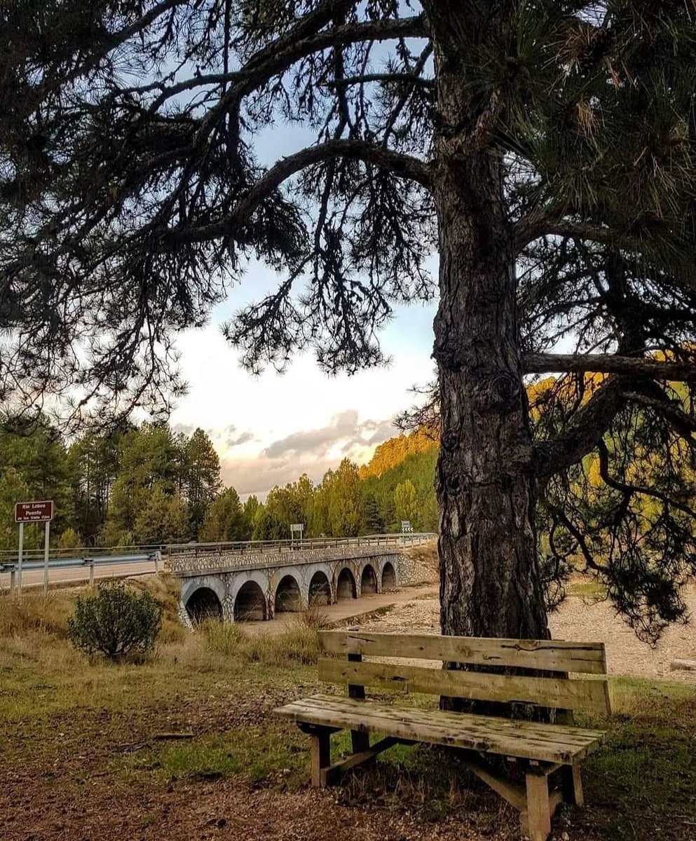 San Leonardo Tiene Magia tweet media