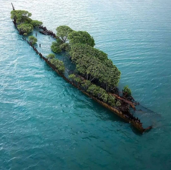 fare_ferry's tweet photo. Shipwreck in Australia 💙💙💙💙
 #shipwreck #greece #sea #diving #beach #travel #scuba #ship #zakynthos #wreck #scubadiving #zante #underwaterphotography #shipwrecks #nature #wreckdiving #underwater #ocean #summer #photography #vacation #bhfyp〽️ https://t.co/BpRMTqxdqp