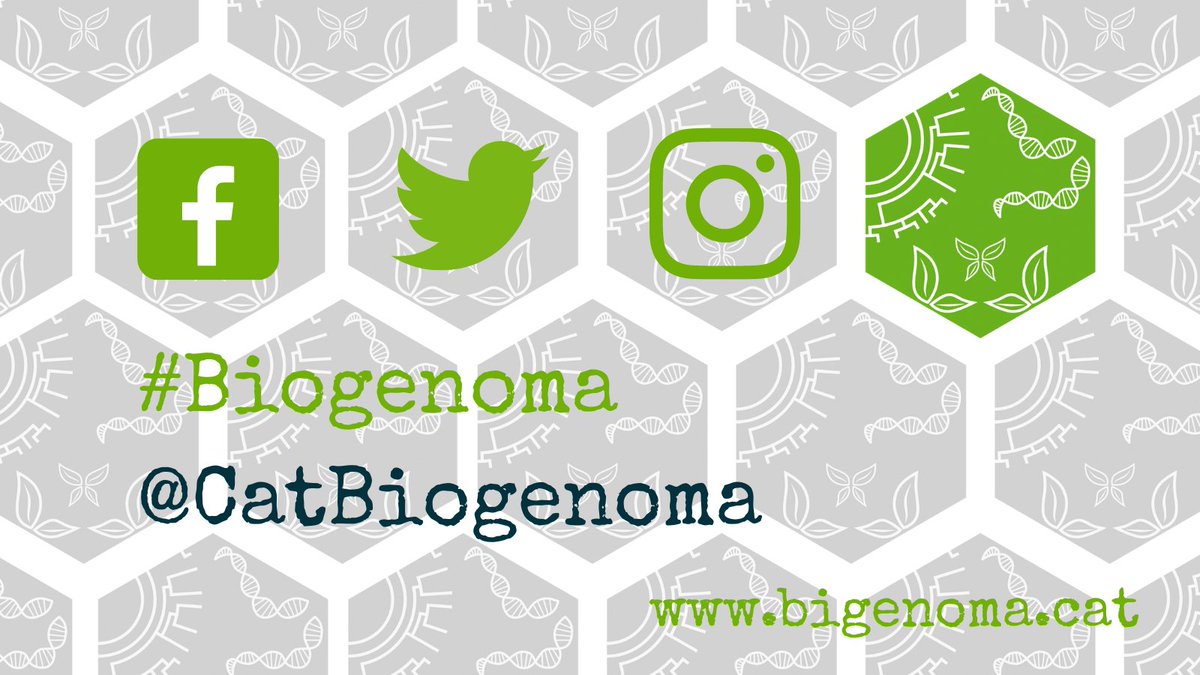 CatBiogenoma's tweet photo. 🤔Do you want to know more about us?🧬🌳🕷️🐸🐟
Follow  @CatBiogenoma, stay tunned #Biogenoma and don't forget to visit our webpage!
https://t.co/jgSC8oviVk

#Genomics #Genome #SequencingLife #Biodiversity https://t.co/BrtXTflIyK