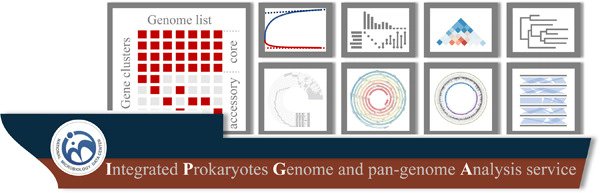 iMetaScience's tweet photo. IPGA: A handy integrated prokaryotes genome and pan‐genome analysis web service 
#Bioinformatics #microbiome #metagenomics #webserver
@wileymicrobio @wileyinresearch @WileyTech 
https://t.co/Zgk672e95w https://t.co/HD6SoRgfRX