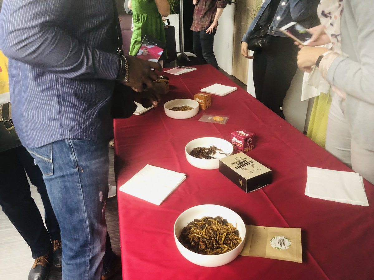 IAEAngers's tweet photo. Les nouveaux personnels de l’@UnivAngers viennent à la rencontre de l’#IAEAngers et de ses spécialités (culinaires🐛🦗) ce matin à l’occasion de leur Campus Tour. Une manière originale de souhaiter la bienvenue à nos nouveaux collègues 🤗 #AAPRO #welcommunity #espritiae https://t.co/wm3E5rmvGT