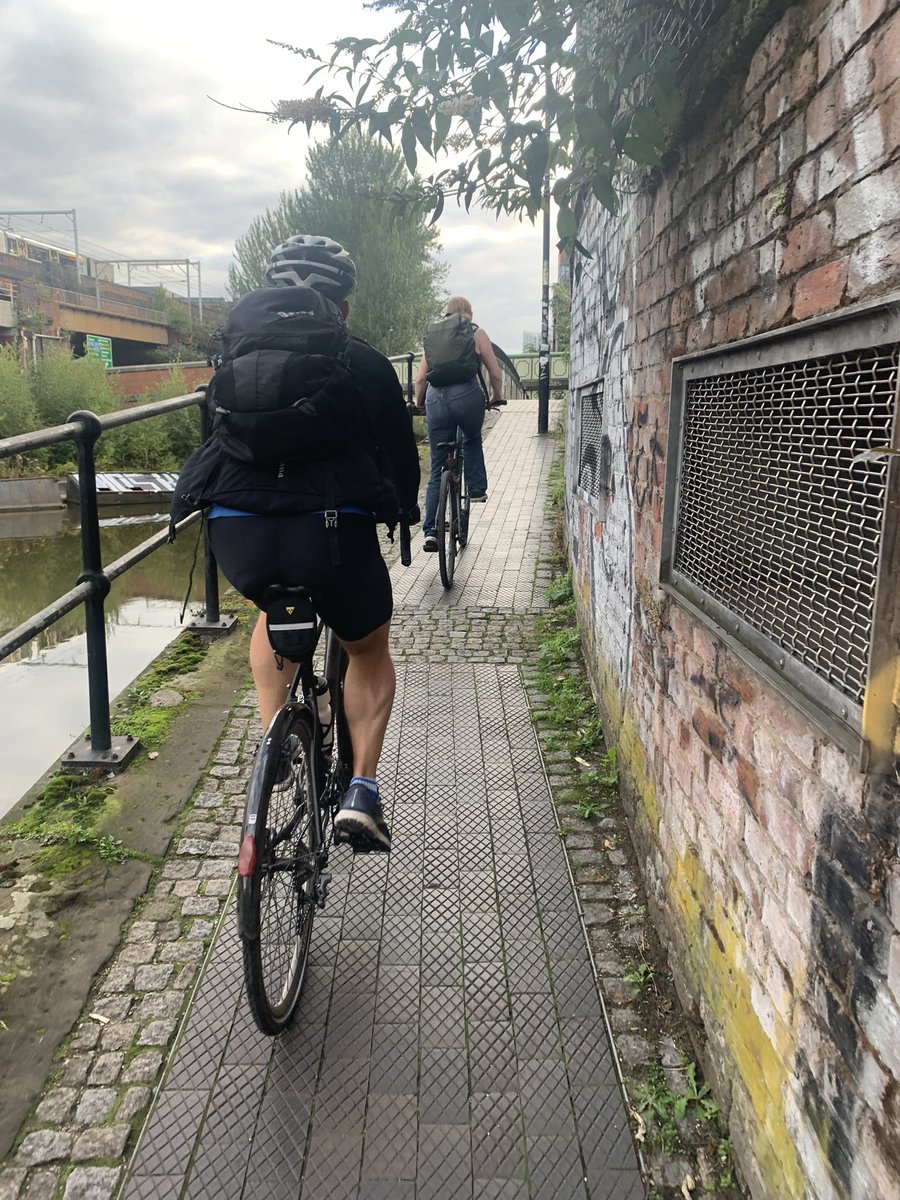 Rob Halfpenny 🦖🦕🦤🦣 tweet media