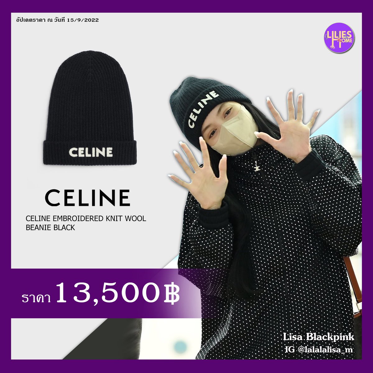 celine bags lisa｜TikTok Search