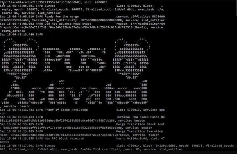 PandaPolis tweet media