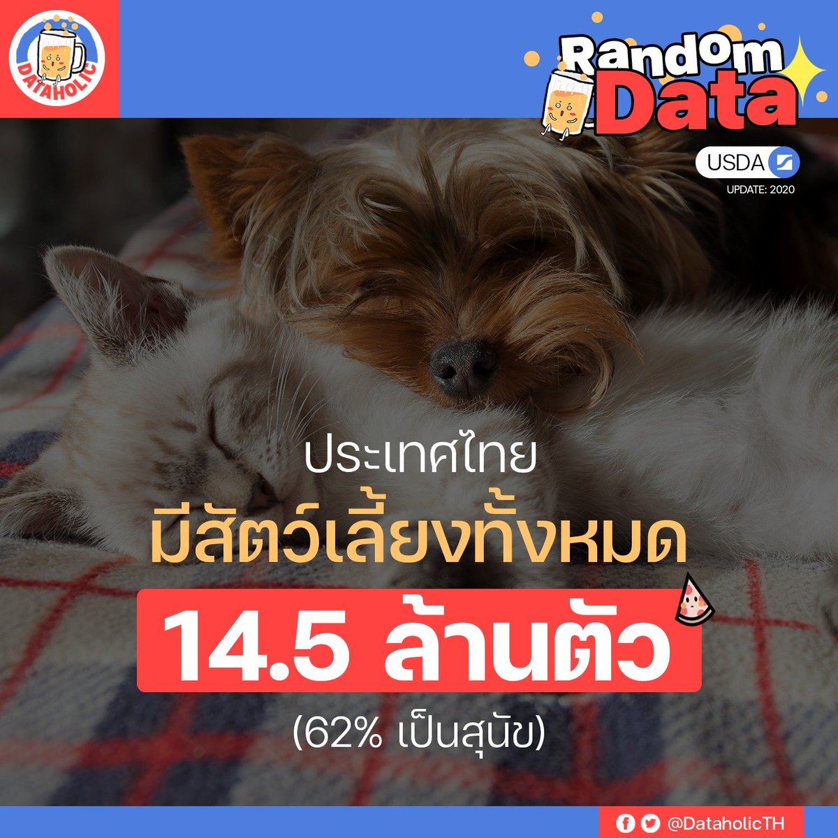 DataholicTH's tweet image. Data น่ารู้ : ประเทศไทยมีสัตว์เลี้ยงทั้งหมด 14.5 ล้านตัว (62% เป็นสุนัข)

Source : USDA, 2020
#dataholic #randomdata #dataน่ารู้ #data
