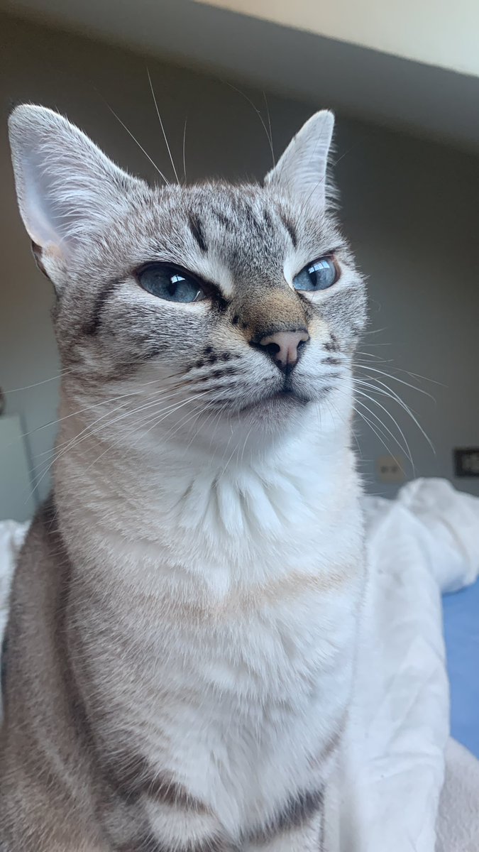 Siempre tiene cara de sueño o de juzgarte muy fuerte