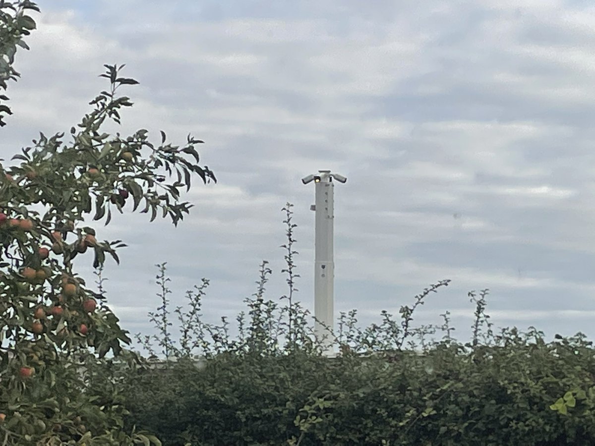 Steffan ap Dafydd Gwyllt 🏴󠁧󠁢󠁷󠁬󠁳󠁿 tweet media