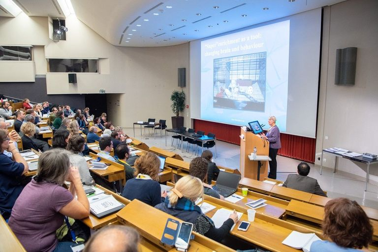 SwissSgv's tweet photo. Check out the final programme for our annual @SwissSgv meeting, which will take place at @CHUVLausanne on 29-30 November 2022. You find more information on the session, the registration link and details on our website. See you there! 
https://t.co/bSDI4O1oEV https://t.co/0GnPL9YRj8