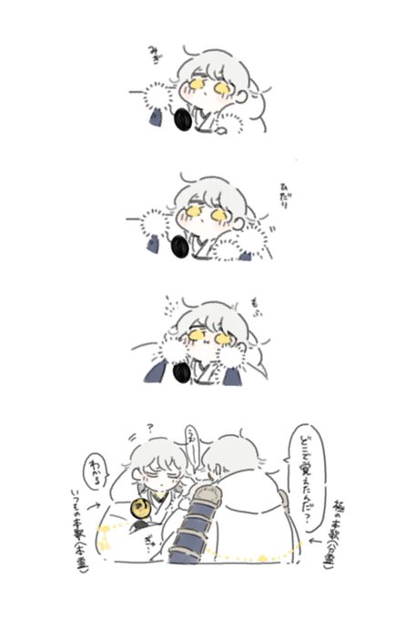 1回やってみたかった
(※鶴丸写しちゃんがいます) 