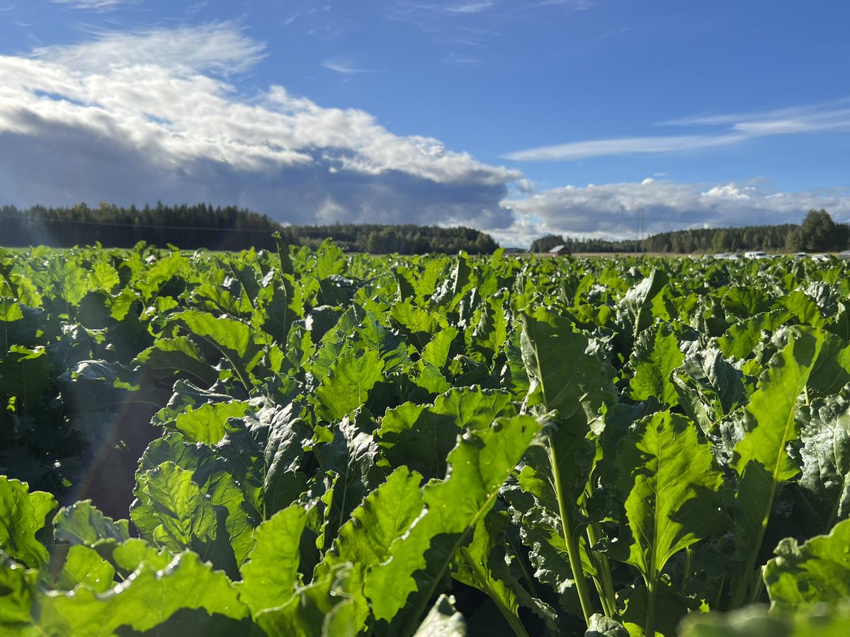 Minna-Mari Purtsi-Toimi ~ Minnis tweet media