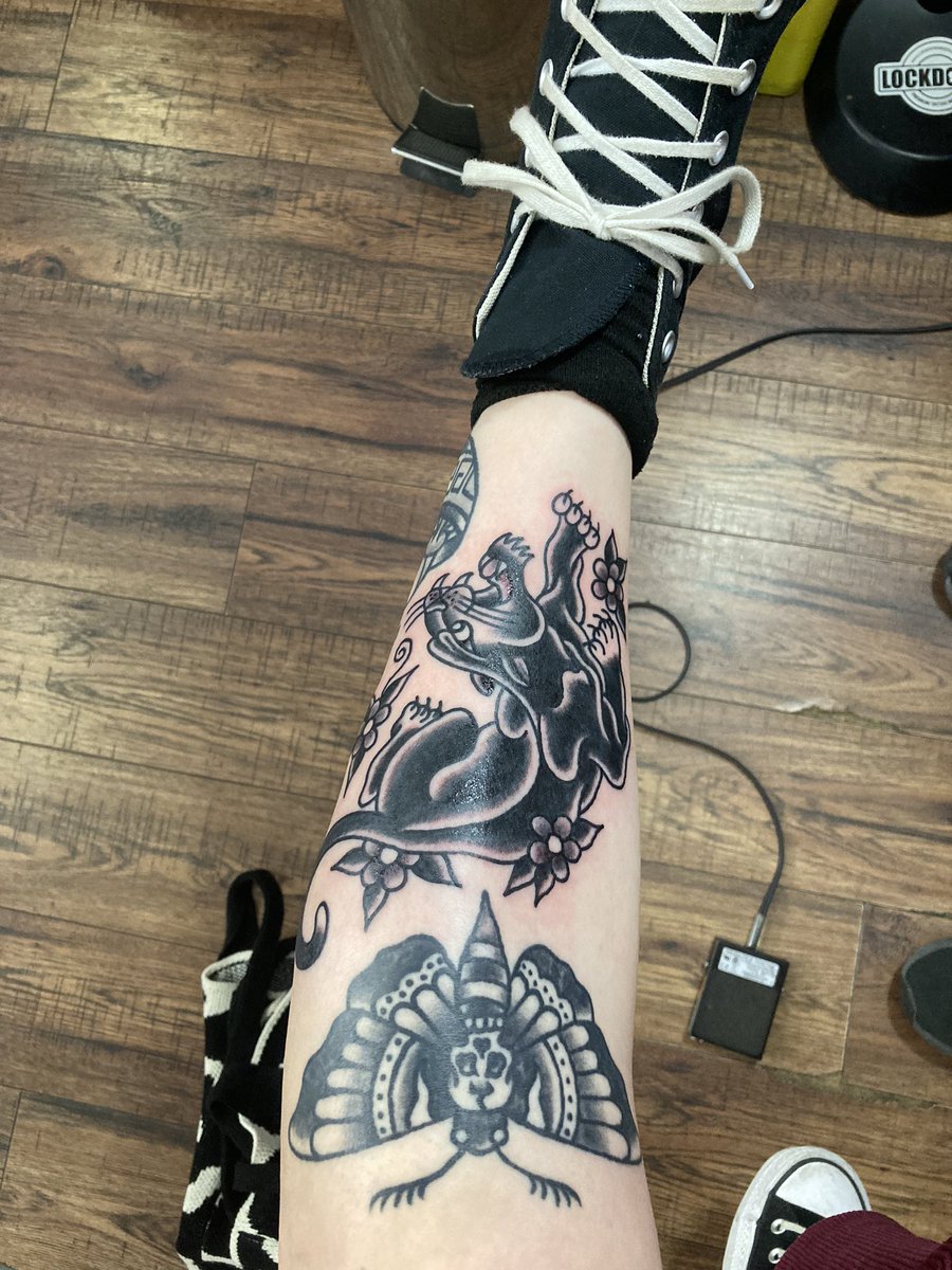 Miarose_fern's tweet photo. Kinda obsessed, just need to give him a name 🖤 https://t.co/esXNKzUkgV