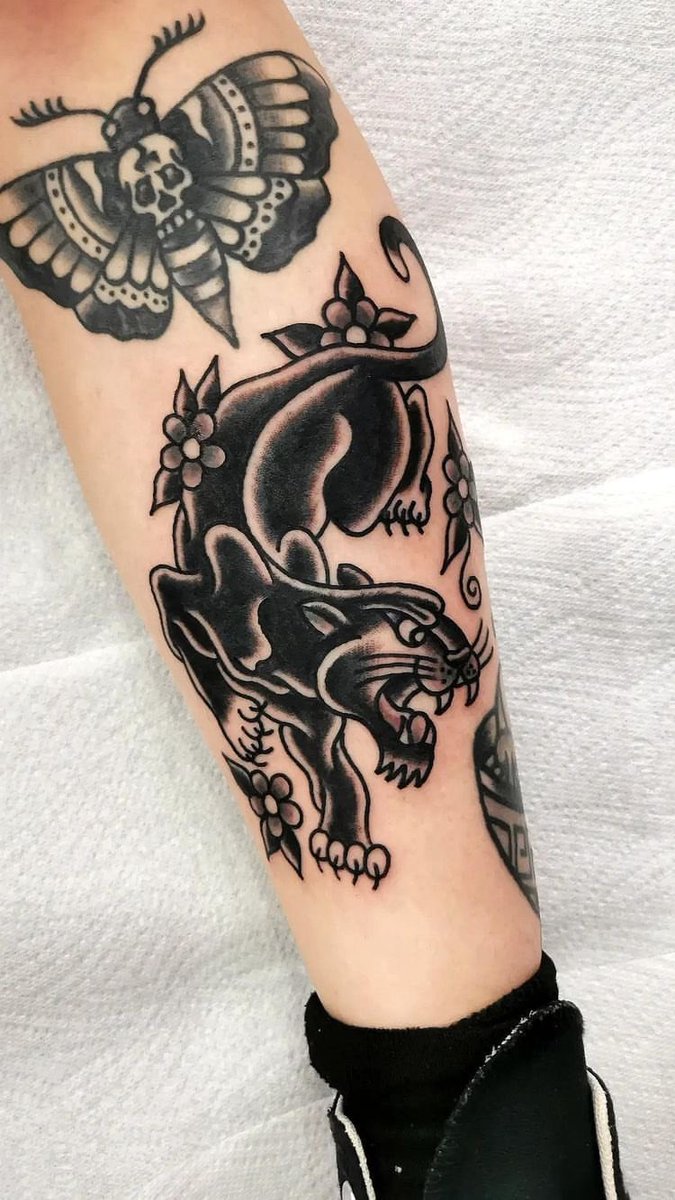 Miarose_fern's tweet photo. Kinda obsessed, just need to give him a name 🖤 https://t.co/esXNKzUkgV