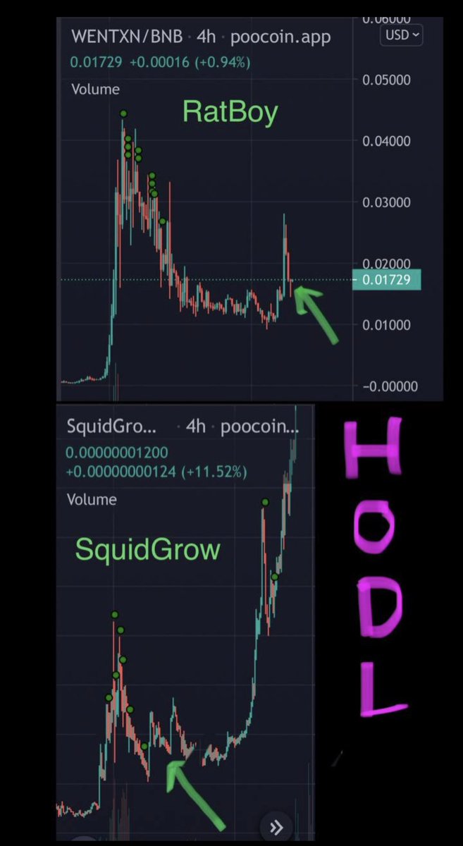 ZeusPonzi's tweet photo. @ratboybsc chart va @Squid_Grow chart mmmmm https://t.co/5S7JCVbJwU