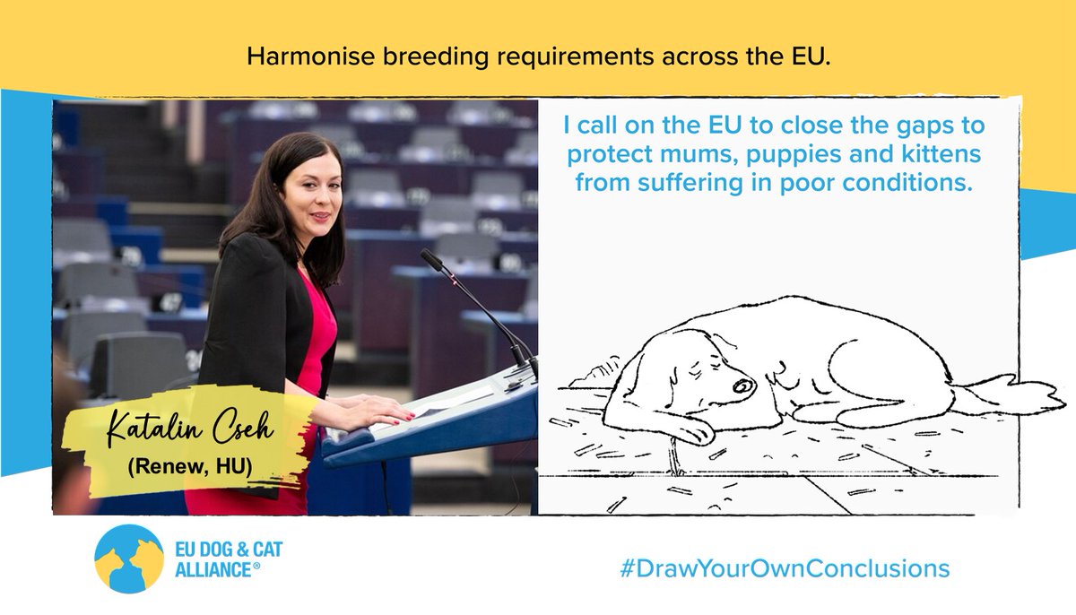 EUdogsandcats's tweet photo. Great to have @katka_cseh MEP backing our #DrawYourOwnConclusions campaign to harmonise breeding requirements across the EU.
This support is key to bringing about change to protect dogs and cats from suffering. https://t.co/1KBqP88aXq