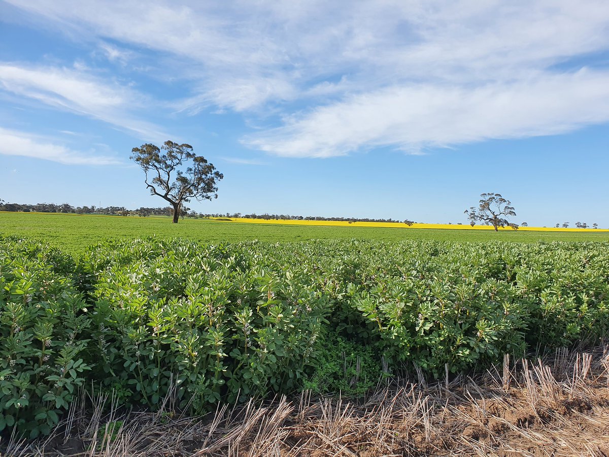 Bridget Close tweet media