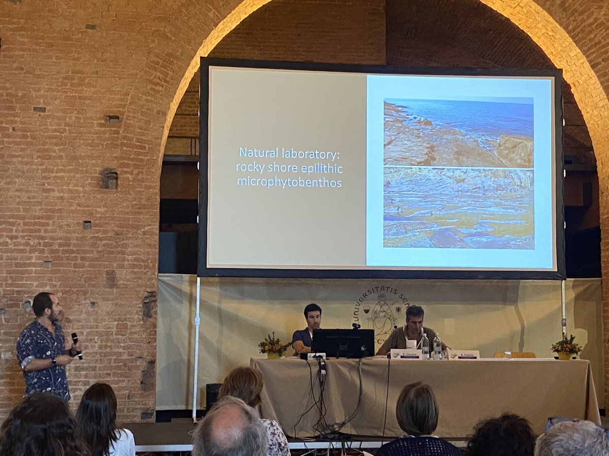 Nella #cripta di #sanfrancesco <a href="/unisiena/">Università di Siena</a> troviamo il #biofilm di #calafuria grazie a <a href="/Luca_Rindi/">Luca Rindi</a> <a href="/RicercaUnipi/">Ricerca UNIPI</a> ultimo giorno di #SITE2022 #stressmultipli #resilienza #variabilitaclimatica #eventiestremi #perturbazioni #clima #biodiversità