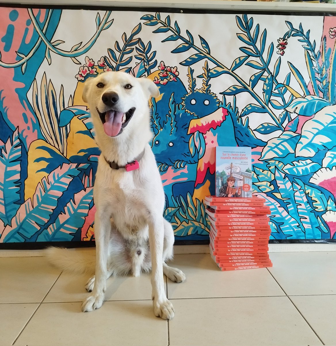 Jesuisunelegume's tweet image. À un jour de la sortie, Mushu et moi-même sommes très heureux.se de vous présenter ma pile conséquente d'exemplaire autrice 🔥
J'ai le même sourire que lui même si vous ne le voyez pas.