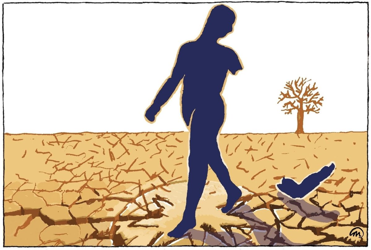 Dertig jaar geleden kon Rabo kiezen voor duurzame of nog grotere en intensievere landbouw. Na een interne strijd koos de bank schaalvergroting. Lees in onze reconstructie hoe de bank zich zienderogen blind stortte in giga-kassen, pesticiden &amp; megastallen: bit.ly/3BE4y8h