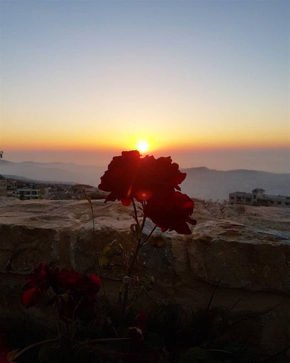 الخوف على الذين تحبهم 
  قد يفوق أحياناً 
خوفك على نفسك.. 
وأن لاشيء يُعادِل لحظة الطمأنينة 
التي تغمرك 
عندما تدرك أنهم بخير❤