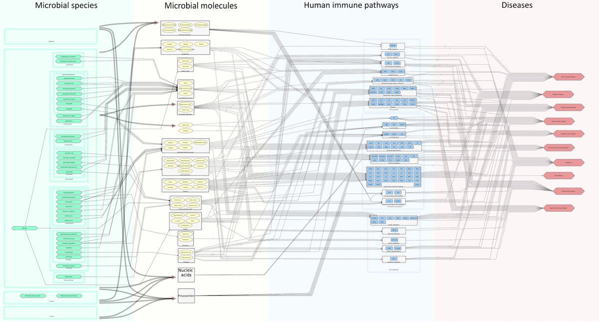 wilmeslab's tweet photo. How to keep track of the complex connections between the human #microbiome &amp; #human chronic #diseases? 🤔🦠💊 A new solution from @wilmeslab @lcsb_uni_lu @uni_lu: the interactive #Expobiome Map at https://t.co/49hVCg09w7 &amp; @cellhostmicrobe / https://t.co/jTFhZjDo3s 
🧵👇 1/5 https://t.co/jX05s5xPWW