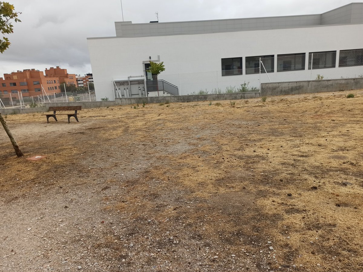 juancarvr23's tweet photo. @Arroyomolinos A ver si también se dedican a sancionar a los dueños de los perros que no recogen sus cacas y limpiar los parques de excrementos, no se puede andar sin pisar una caca. Mister truño parece que está de vacaciones. Es indignante ver el estado de los parques tan descuidados https://t.co/8lxJXbnPlB