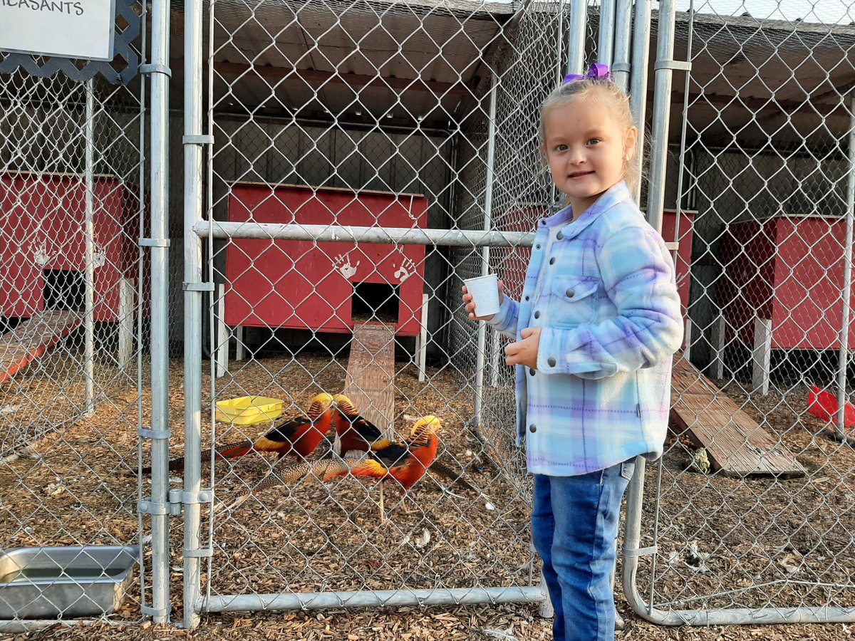 Shoemaker Elementary tweet media