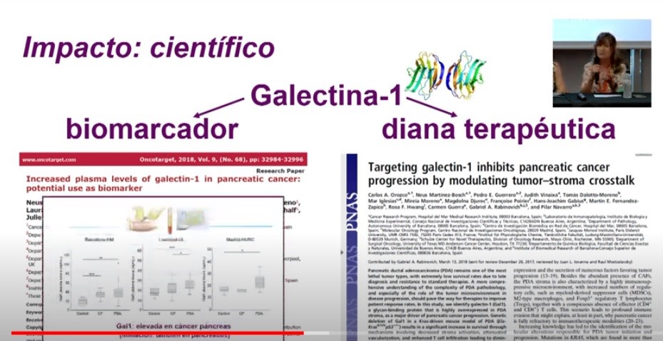 PNavarro_Lab's tweet photo. Ha sido un gran honor participar hoy en la entrega de becas Carmen Delgado/Miguel Perez Mateo para la investigación contra el #cáncerdepáncreas  
https://t.co/Dp4B6RJBVC
⁦@ACanPan⁦
@AESPANC https://t.co/pSxpw2b8aq