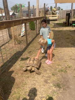 Shoemaker Elementary tweet media