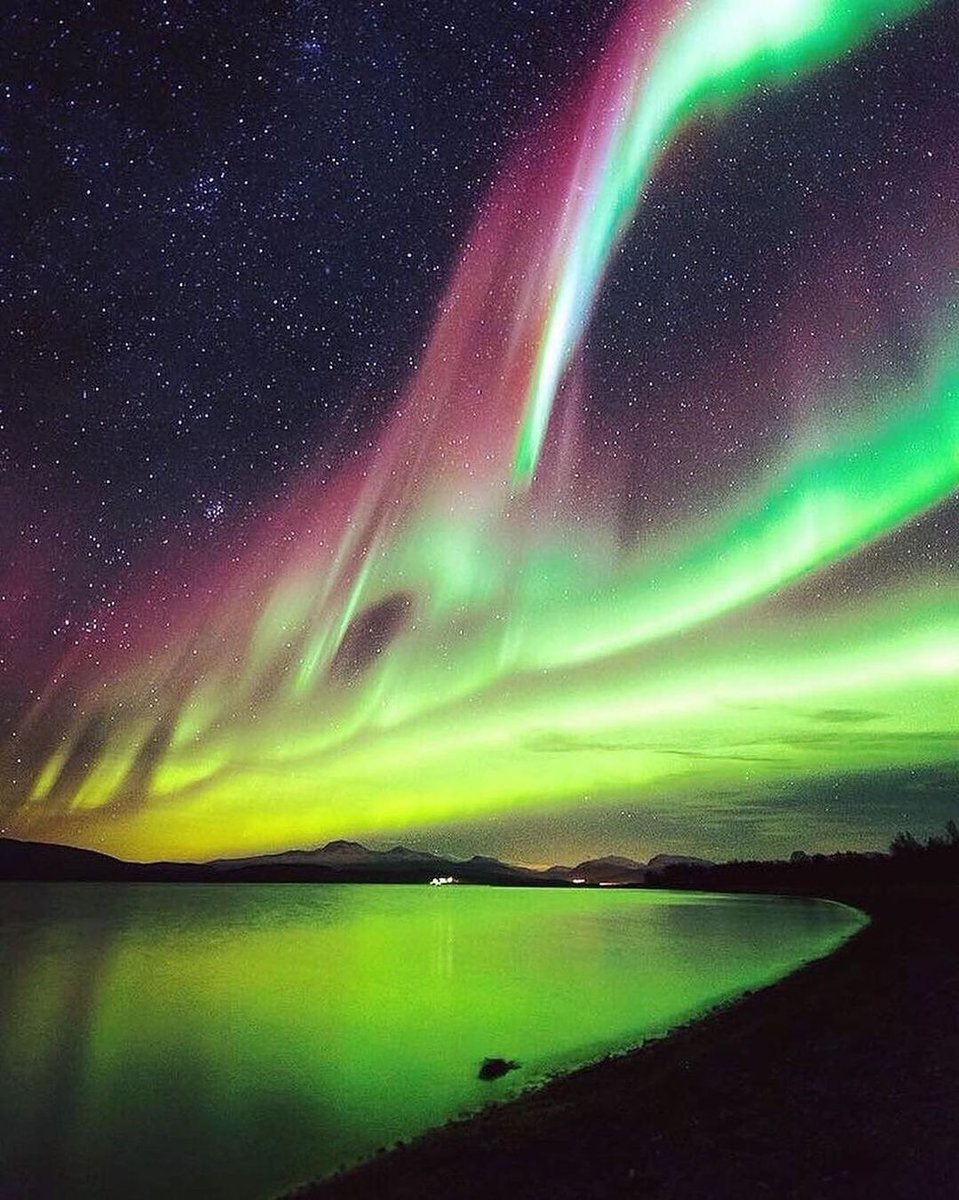 pritycynty's tweet photo. One of the lights I wanna see 😍
#Norway #northernlights #adventuredestination #travel #love https://t.co/J9BaIHU2kg