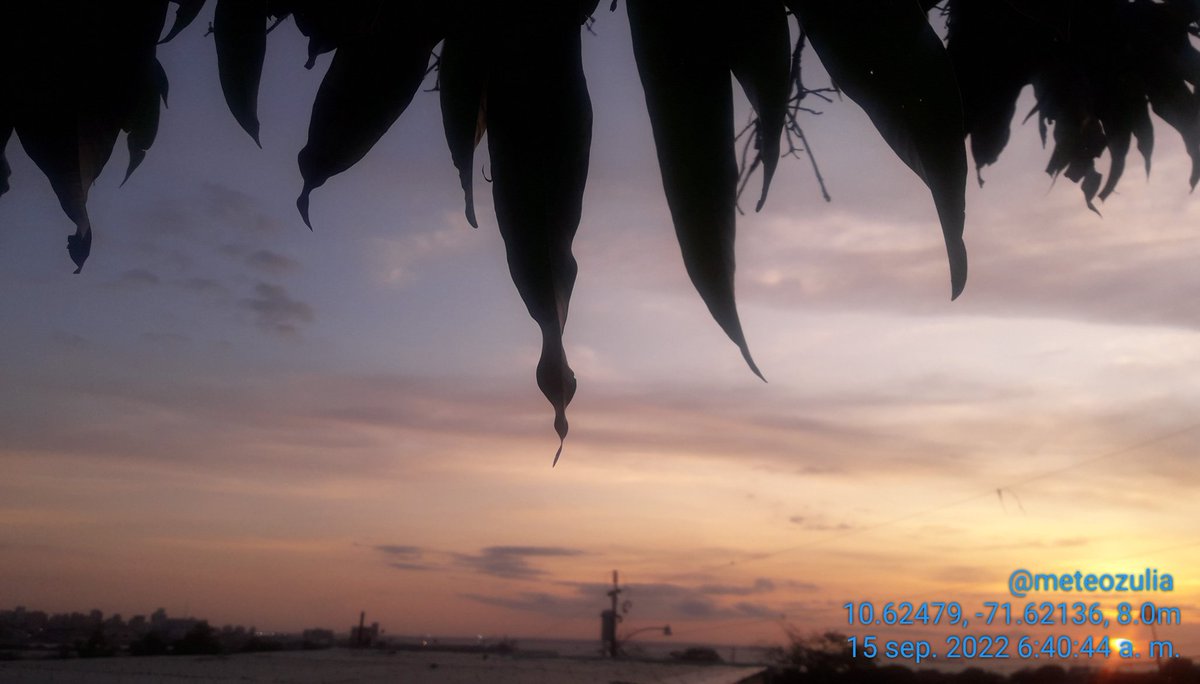 MeteoZulia's tweet photo. bonito y cálido Amanecer en #Maracaibo este #miercoles #15Sep2022
#Felizdia
#Sol #Nubes #Tormentas
#Sun #Sunrise #SunriseLovers #Clouds #CloudsLovers #Storm #StormHours #StormLovers #Picoftheday #ThePhotoHour https://t.co/dyqxGP7Q7G