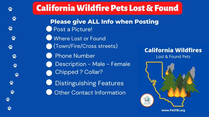 AbiJone08's tweet photo. #MosquitoFire If you've lost or Found a pet, please give ALL the info when reporting and posting to any sites. It saves so much time and energy spent Please retweet #CaliforniaWildfires #CAFirepets https://t.co/8cQzBzGmUG