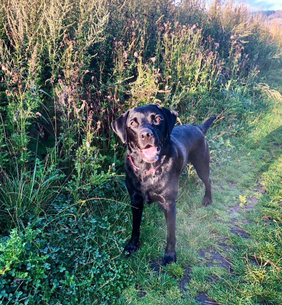 Happy 4th birthday Pretty Boy 😂!