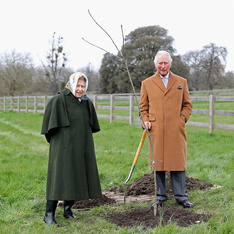#QueensGreenCanopy initiative extended to Mar-2023 to give people the opportunity to plant trees in memoriam to honour HM #TheQueen. We urge all rural communities to consider planting a tree and to add it to the map on the @QGCanopy website #treesinmemoriam