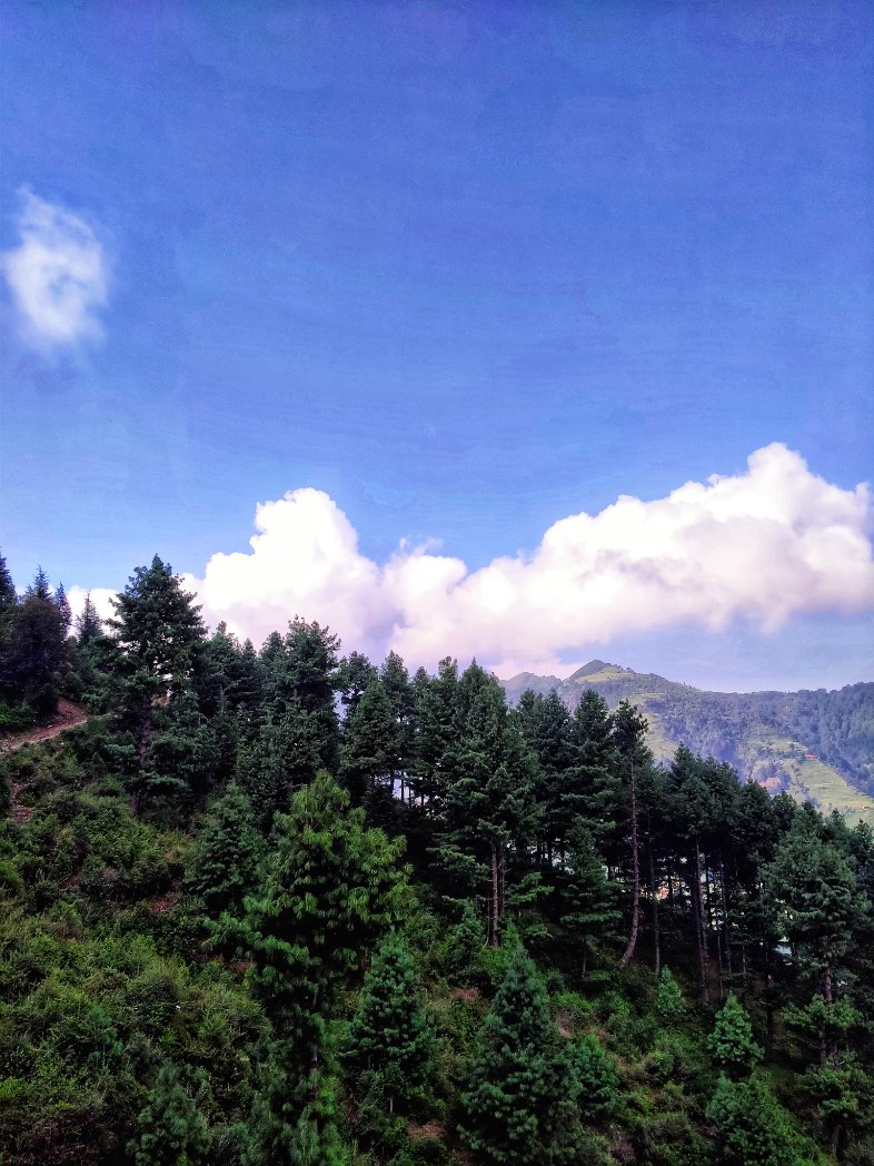VinodVision's tweet photo. 🌲⛰️☁️🥀🎧 https://t.co/BresrASmj9