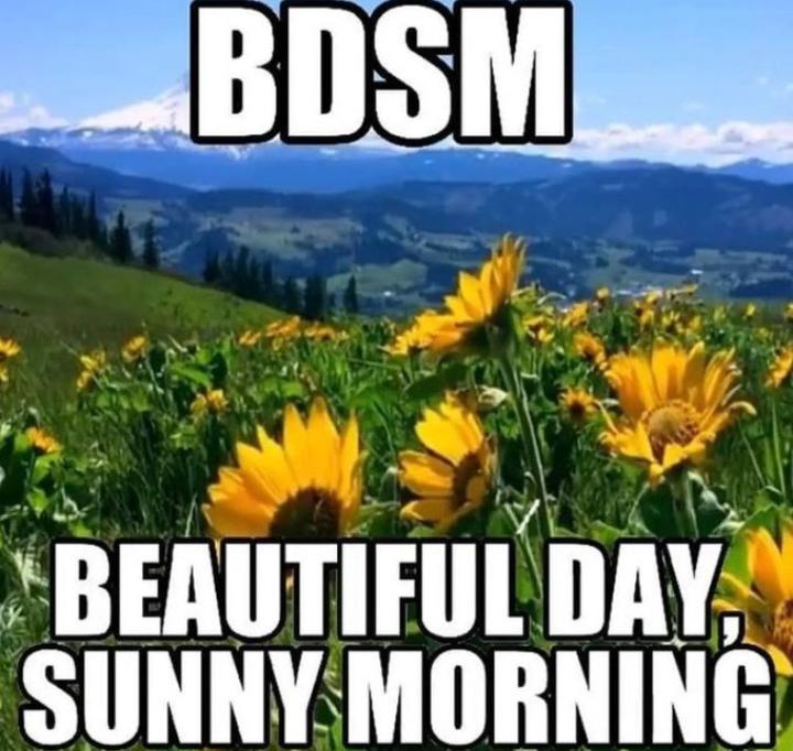 gi (@anistonovia) on Twitter photo 