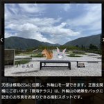 ツイートに含まれる画像