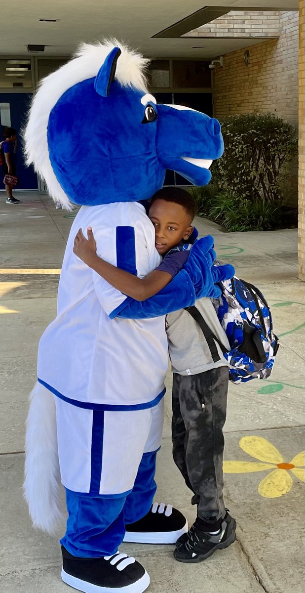 _derrien's tweet photo. What a wonderful way to start a Thoroughbred Thursday at @ChatsworthSch! 🌟🐴🌟#capableconnectedandsecure https://t.co/nMOeyNqzNX
