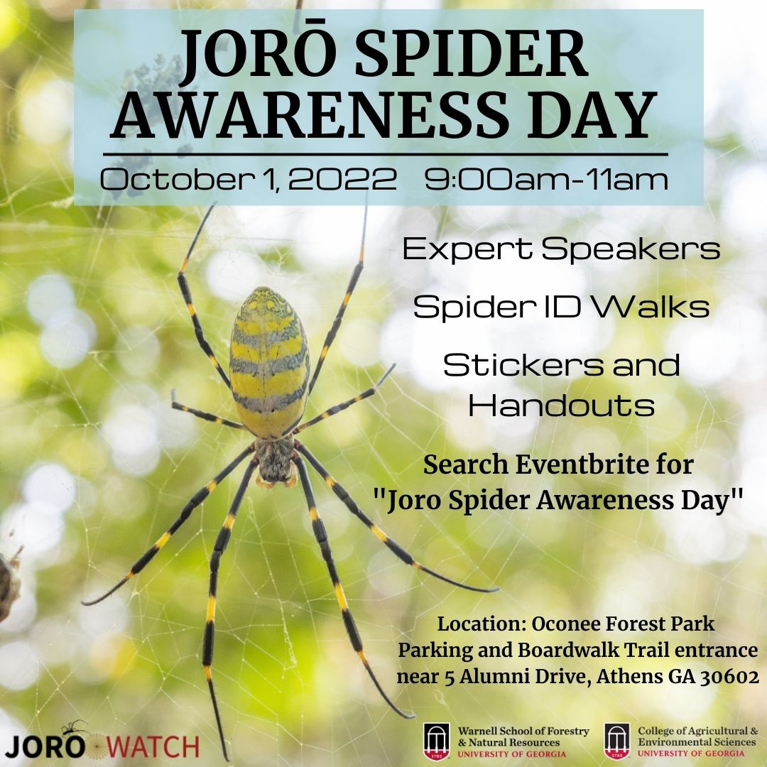 Bugwood's tweet image. Joro Spider Awareness Day!

Register: eventbrite.com/e/joro-spider-… 
When: Oct 1, 2022 9am-11am
Where: Oconee Forest Park (trailhead near 5 Alumni Drive, Athens GA 30602)
Cost: $0

Want to learn about Joro spiders from UGA experts? Presentations, handouts/stickers, and guided ID walks.