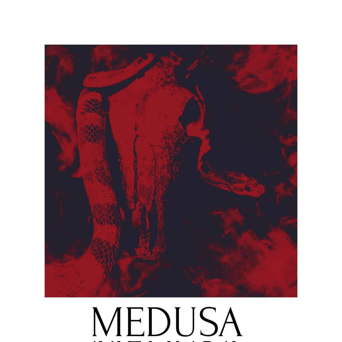 The music video for our upcoming single Medusa premieres tonight at 7PM, the team behind this have worked so hard on this one and honestly we cannot wait to show you the result! Use the linktree in our bio to go to the video premiere!