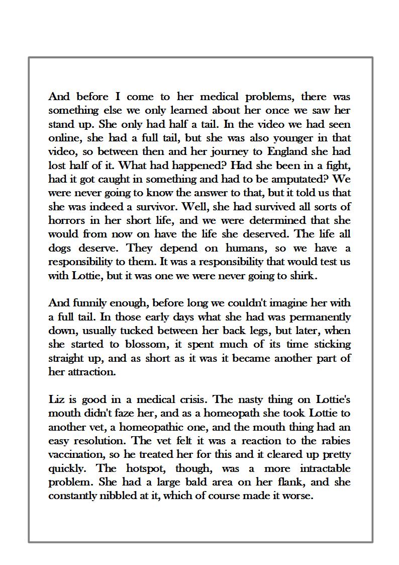 RSBrynin's tweet photo. Here's a snippet from a true story, “Loving Lottie”. It will make you laugh, and it will make you cry, but it has a happy ending. Profit goes to animal welfare charities. https://t.co/MXgAcho3h3